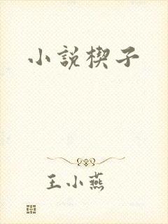 小说楔子