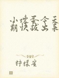 小坏蛋今天危险期快拔出来