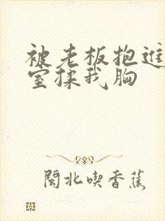 被老板抱进办公室揉我胸