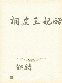 调皮王妃酷王爷