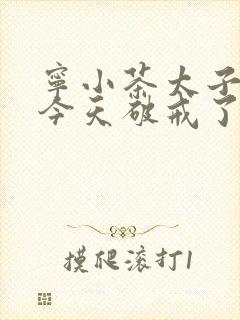 宁小茶太子殿下今天破戒了吗免费阅读