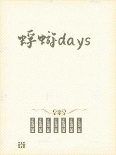 蜉蝣days封面