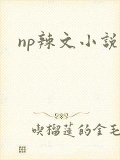 np辣文小说