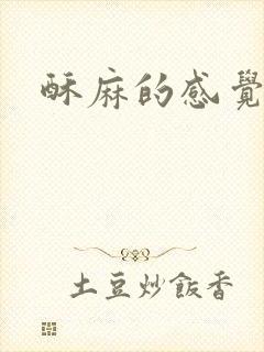 酥麻的感觉小说