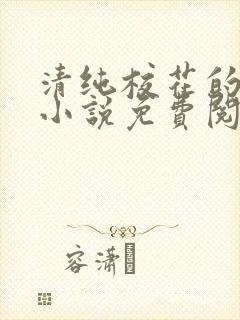 清纯校花的秘密小说免费阅读