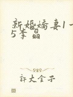 新婚娇妻1一25李晶封面