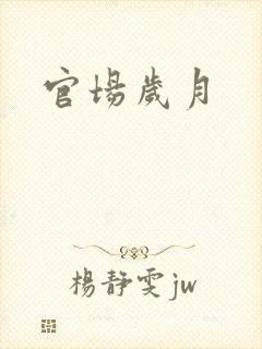 官场岁月