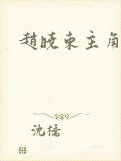 赵晓东主角小说