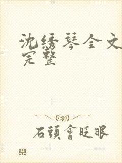 沈绣琴全文阅读完整