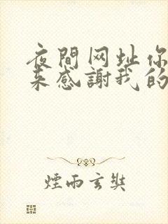 夜间网址你会回来感谢我的