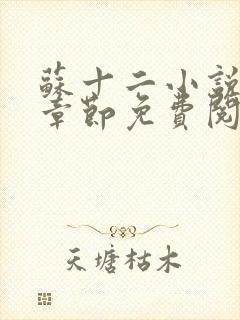 苏十二小说最新章节免费阅读全文封面