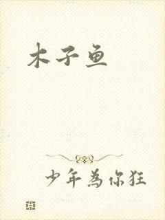 木子鱼封面