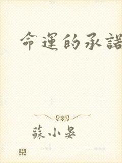 命运的承诺
