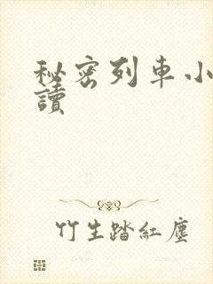 秘密列车小说阅读