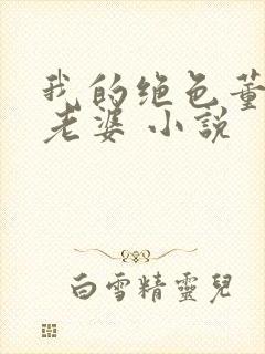 我的绝色董事长老婆 小说