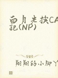 白月光挨CAO记(NP)封面