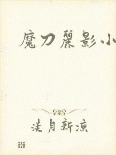 魔刀丽影小说