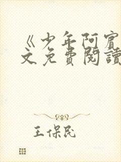 《少年阿宾》全文免费阅读封面