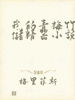 我的青梅竹马是储精器小说