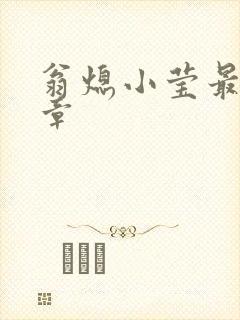 翁熄小莹最新节章