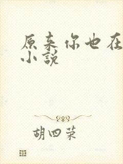 原来你也在这里小说