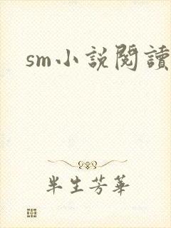 sm小说阅读封面