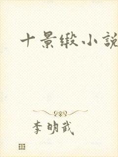 十景缎小说