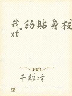 我的贴身校花txt