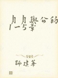 月月与公的激情1一5章