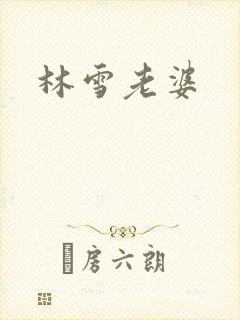 林雪老婆封面