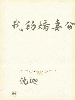 我的娇妻公务员