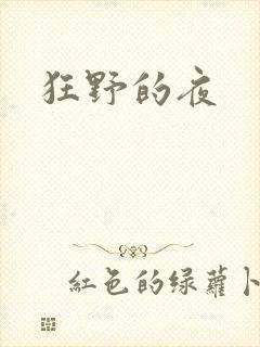 狂野的夜