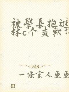 被学长抱进小树林c个爽软件