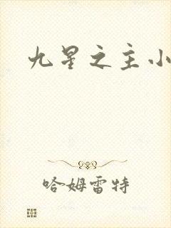 九星之主小说封面