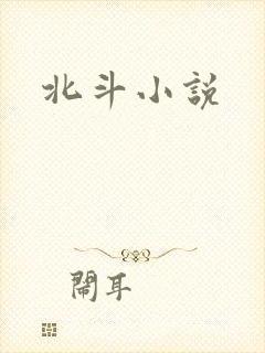 北斗小说封面