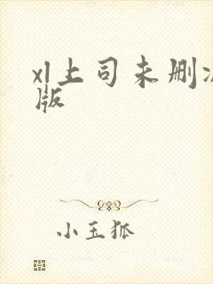 xl上司未删减版封面