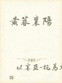 黄蓉襄阳