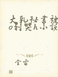 大乳秘书被cao到哭h小说