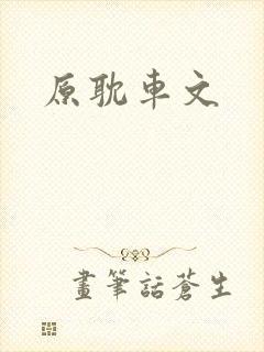 原耽车文