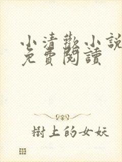 小清欢小说全文免费阅读封面