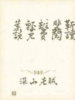 叶轻离裴靳墨小说免费阅读无弹窗