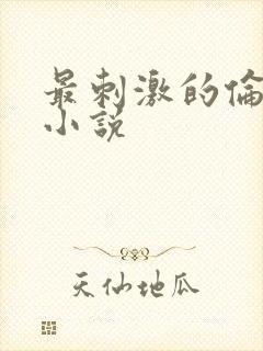 最刺激的伦子伦小说封面