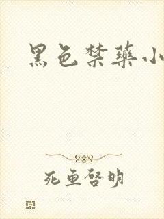 黑色禁药小说