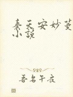 秦天安妙菱修仙小说