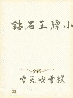 钻石王牌小说封面