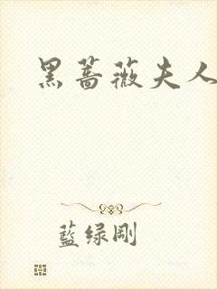 黑蔷薇夫人封面