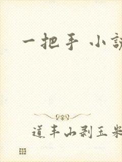 一把手 小说封面