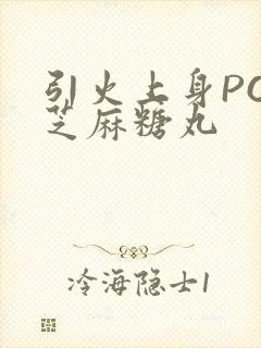 引火上身POP芝麻糖丸