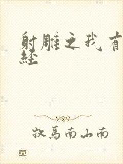 射雕之我有太玄经