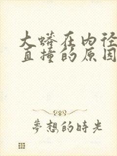 大蟒在内径横冲直撞的原因封面